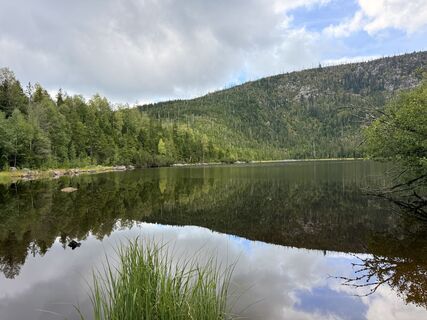 Fotografija s spletne strani Natur_erleben_dg na poti