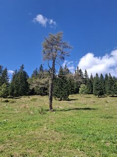 Foto von Miha Gros entlang der Tour