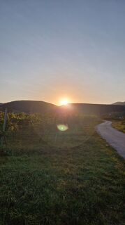Photo de Claudia Maurer le long du parcours