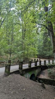 Foto von hochlandfamilie entlang der Tour