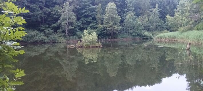 Fotografia z Carlo baronti na trase