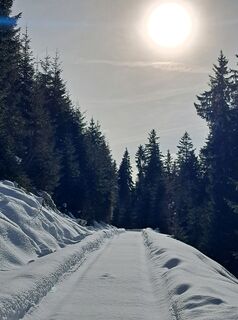 Foto von Pinzger Petra ??‍♀️?? entlang der Tour