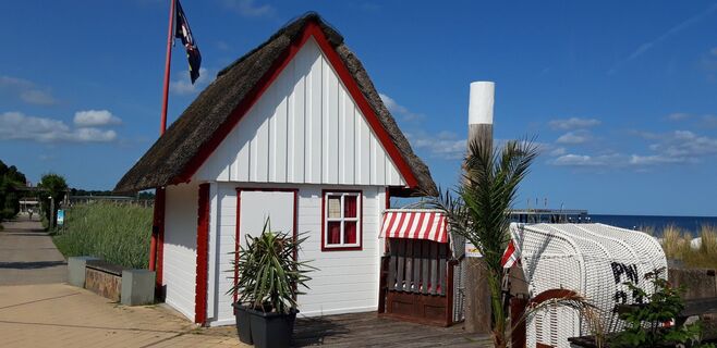 Fotografia z Xavier VDD na trase