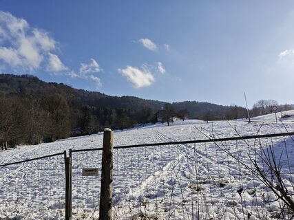 Foto von Xenia Lange entlang der Tour