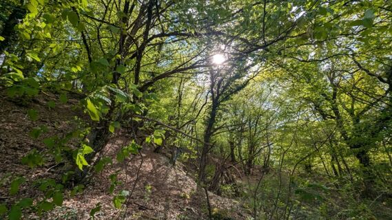 Fotografija s spletne strani Richard Schwald na poti
