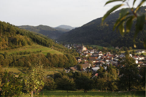 Zemljevid