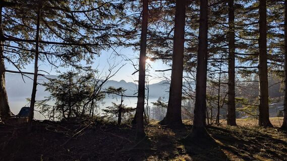 Foto von Ziegler Em1304 entlang der Tour