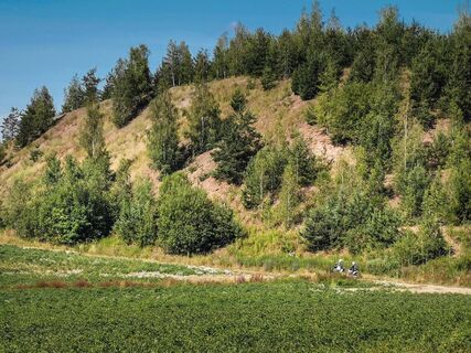 Berghalde Schacht Konrad