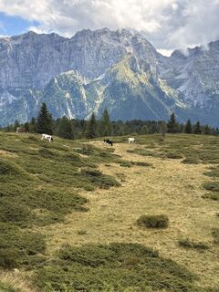 Foto de Michele Passante a lo largo del recorrido