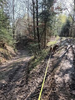 Foto von Tanja Eisenknapp entlang der Tour