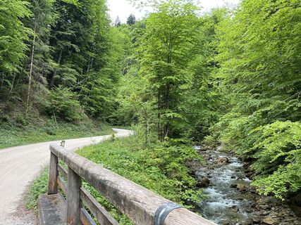 Foto von Heinz Sperl entlang der Tour