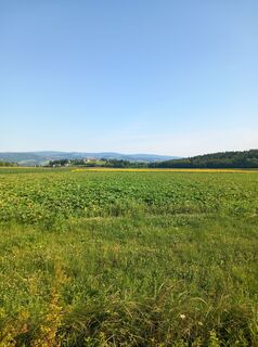 Foto von Christian Lieb entlang der Tour