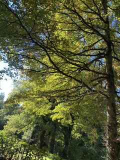 Fotografia z franck.verhoeks na trase