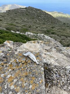 Foto de Jörg Bürkin a lo largo del recorrido