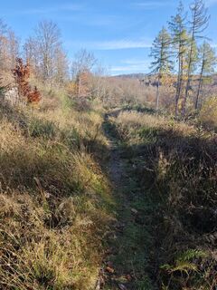 Fotografie z Björn Heun na trase