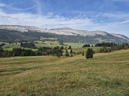 Photo de Thomi W le long du parcours