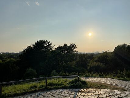 Zdjęcie z filbro wzdłuż trasy