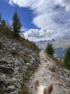 Foto von Diana Walcher entlang der Tour