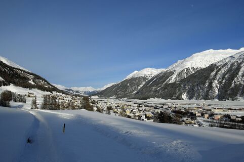 Aussicht auf Samedan