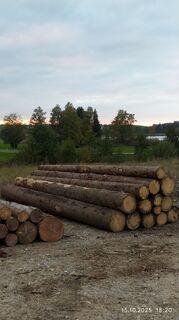 Foto da Julius Piger lungo il tour