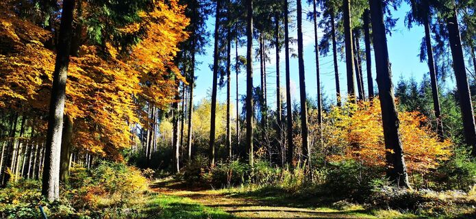 Fotografia z Klaus Lehner na trase