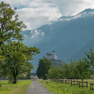 Burg Gutenberg in Balzers
