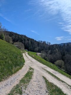 Fotó a SFK honlapról a túra során