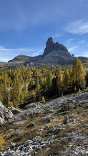 Fotografija s spletne strani ROBERTO BONIOTTI na poti