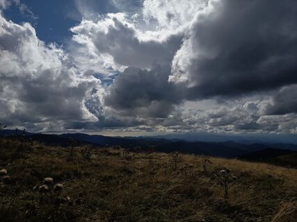 Photo de Aner le long du parcours