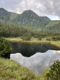 Fotografija s spletne strani Helmut Wieseneder na poti