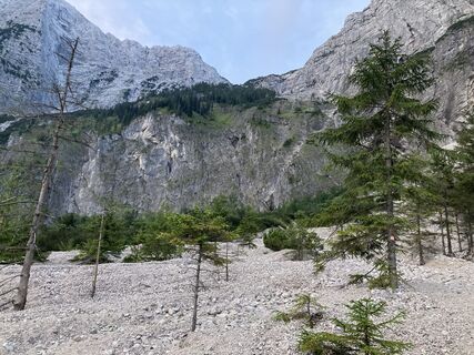 In der Röll