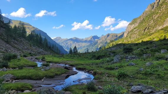 Foto von Juliane Jarke entlang der Tour