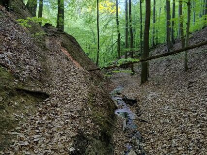 Foto von Poschacher entlang der Tour