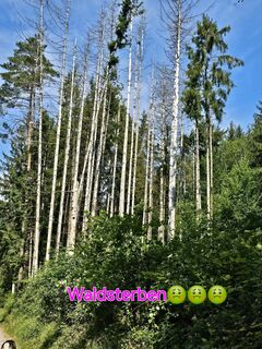 Fotografija s spletne strani Angelika Gerung na poti