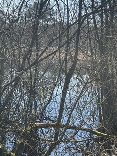 Foto von René Reichert entlang der Tour