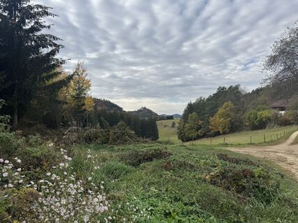 Photo de Ingeborg Steindl le long du parcours