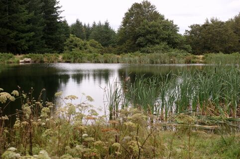 Carboneralsee
