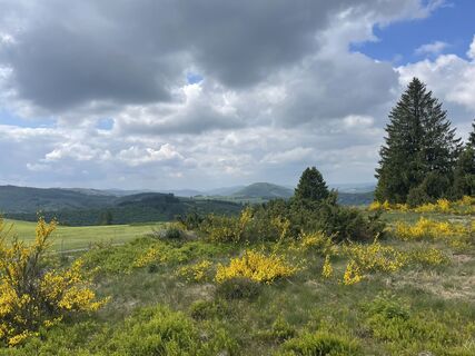 Fotografie z Olaf Mönig na trase