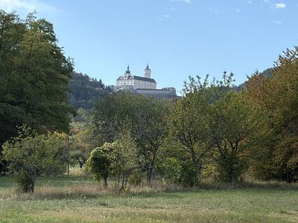 Photo de Istvan Mester le long du parcours