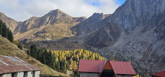 Fotografija s spletne strani Nico na poti