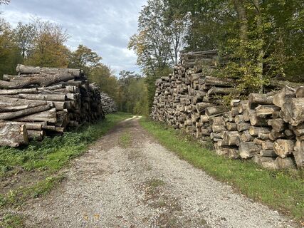 Fotó a Car Wanderfreude honlapról a túra során