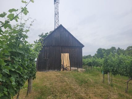 Photo de mmecki le long du parcours