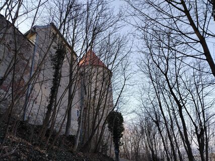 Foto de Poschacher a lo largo del recorrido