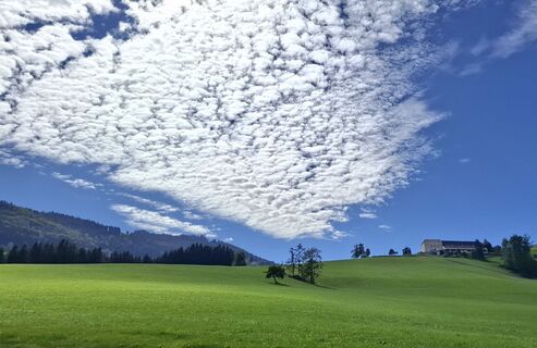 Fotografia z zirberl na trase