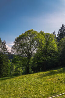 Fotó a Leo Fahrngruber honlapról a túra során