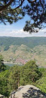 SEEKOPF