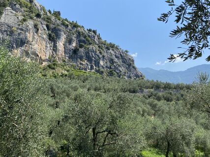 Fotó a Oliver Offermann honlapról a túra során