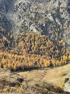 Fotografija s spletne strani Marina I na poti