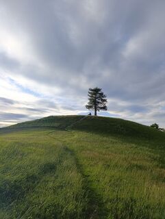 Photo de Meli le long du parcours