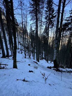Fotografija s spletne strani Roeber Lorenzo na poti
